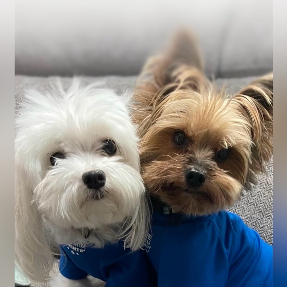 Poshmark Live Show January 2025